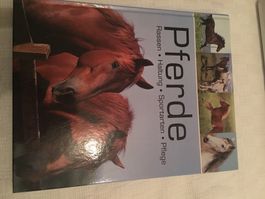 Buch - Pferde