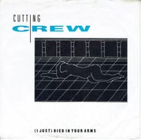 Cutting Crew – (I Just) Died In Your Arms, Vinyl Single