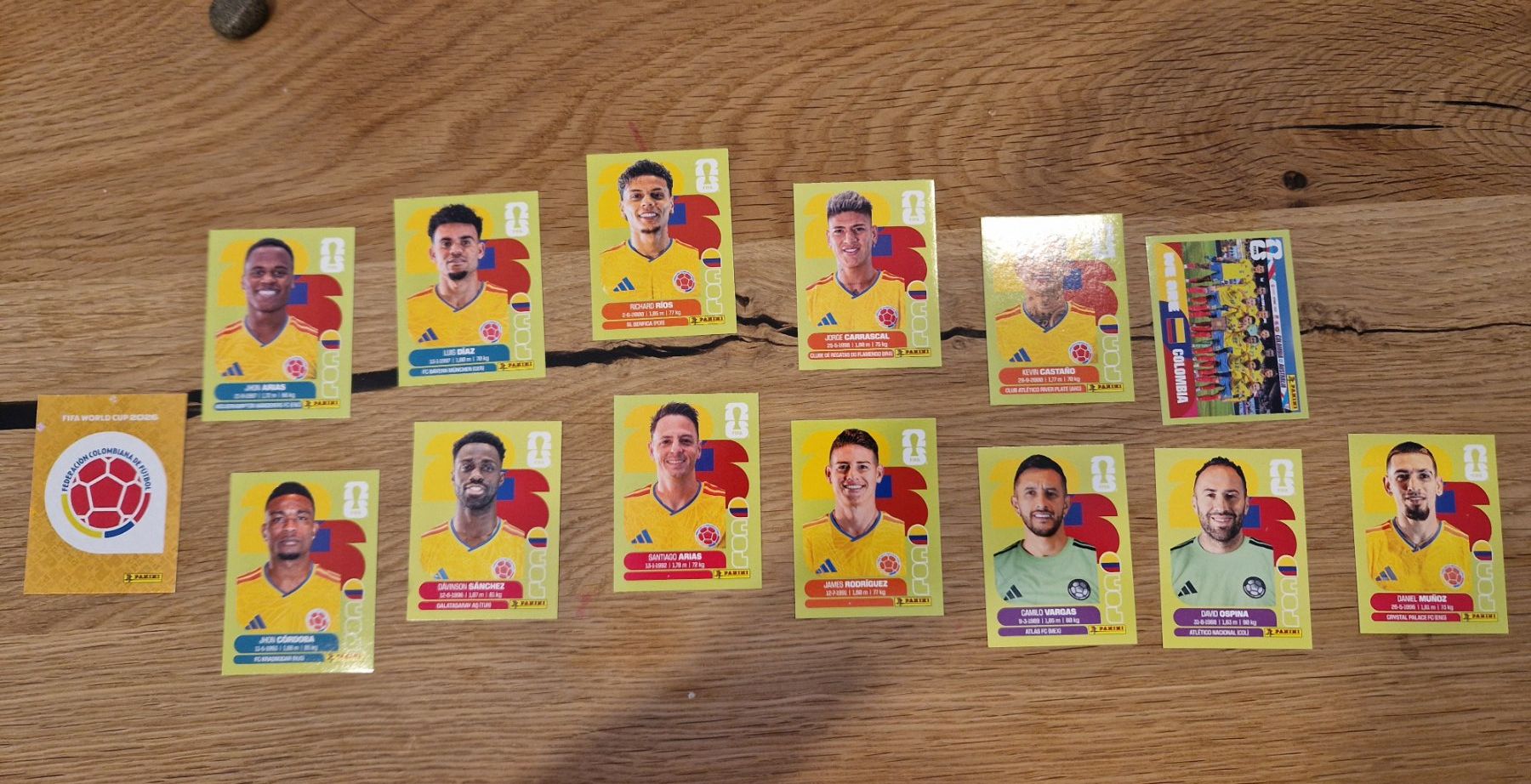Panini Cartes à collectionner: Panini 2026 COL, Sticker – D'occasion à Metzerlen par SS01
