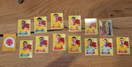 Panini 2026 COL, Sticker