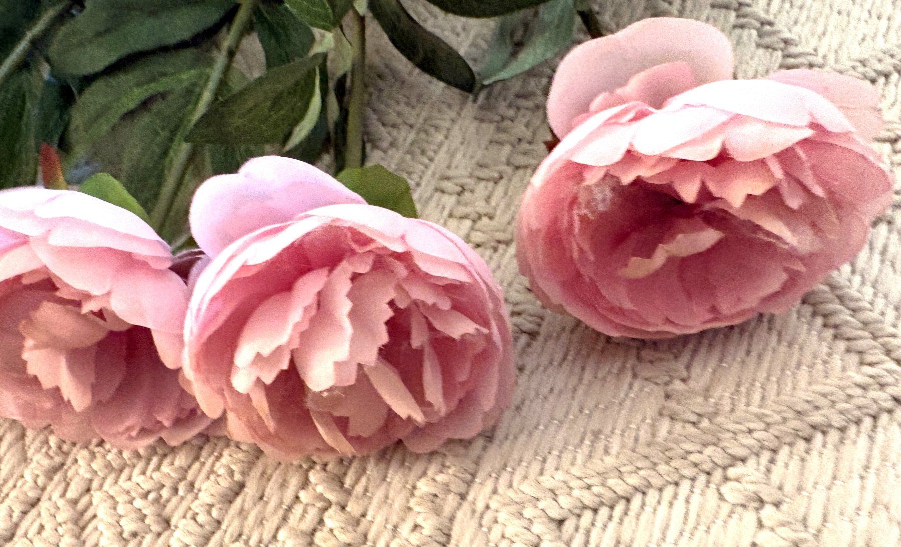 Alle Dekorationen: Rosen rosa 14 Stück – Neu (gemäss Beschreibung) aus Glattbrugg von Ariel012 1