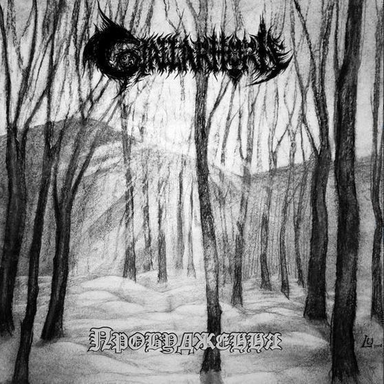 CD: Gjallarhorn - Awakening – Usato da St-Cergue venduto da VeganWarrior
