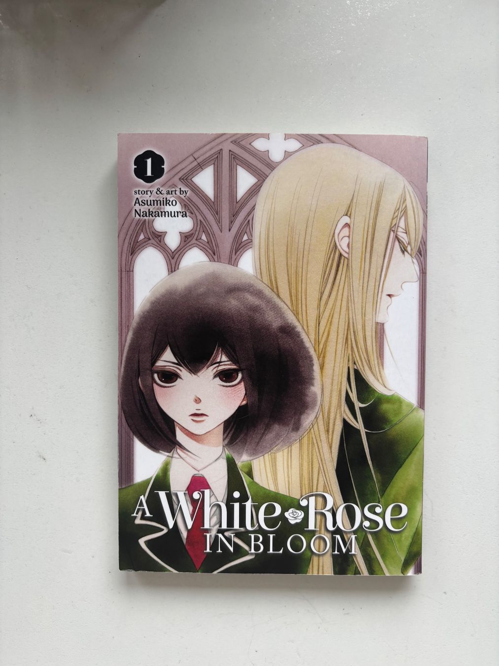 Fumetti: a white rose in bloom – Usato da Romont FR venduto da EmmaSc