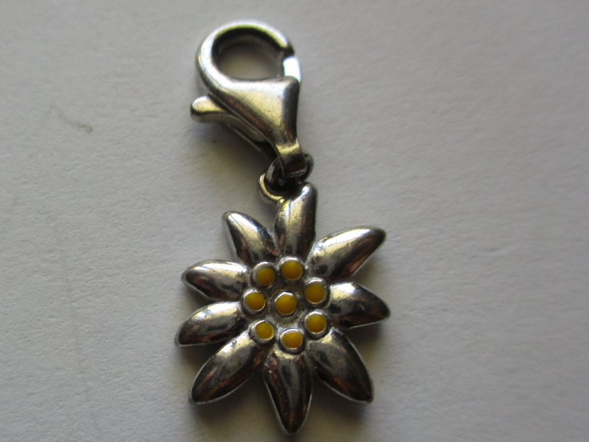 Esprit Anhänger: Charm's Esprit Edelweiss en argent 925 – Gebraucht aus La Sarraz von plu_v9cf