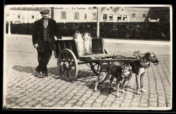 Cartoline postali: Ostende, Le Laitier, Hundegespann vor ei – Usato da Berlin venduto da bartko-reher