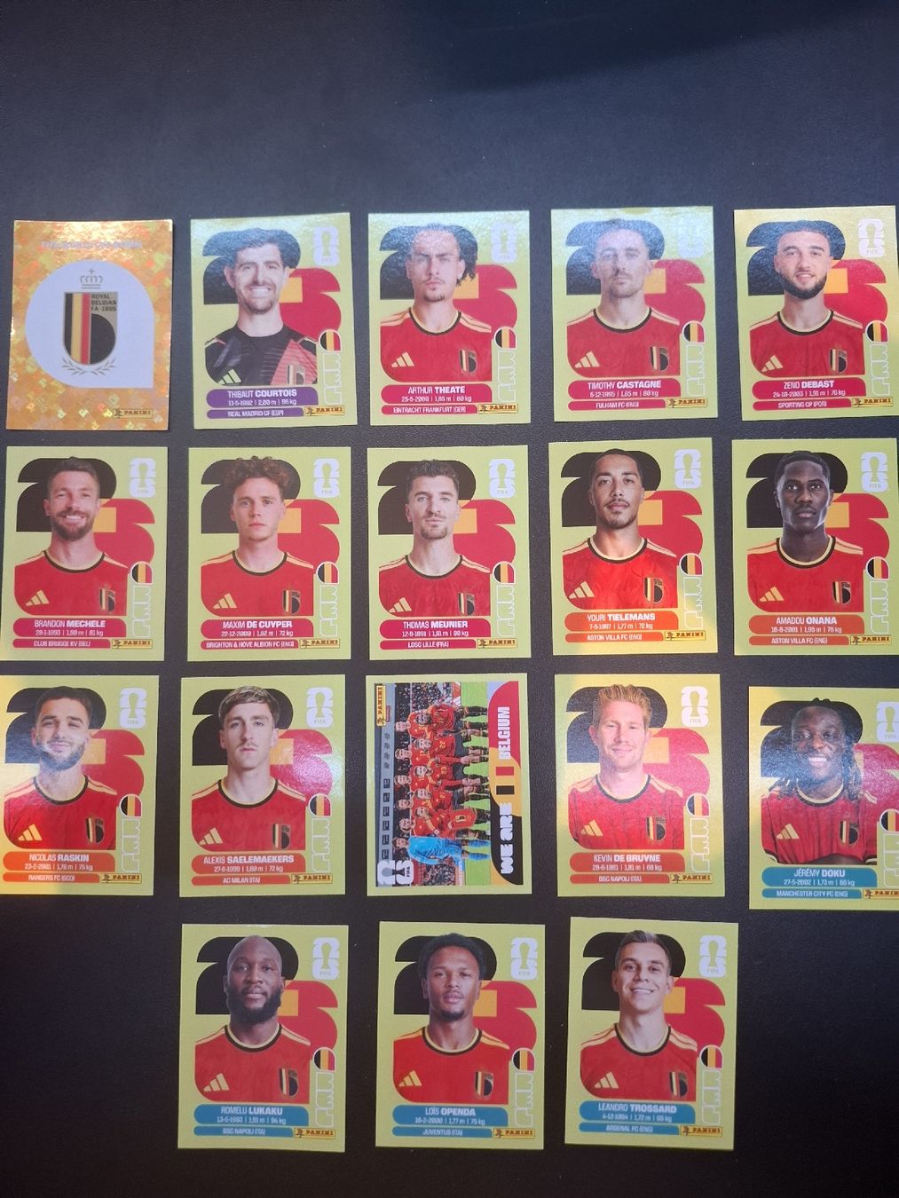 Panini Carte collezionabili: Panini 18 Sticker Belgien  – Nuovo (secondo la descrizione) da Lieli venduto da Andrin.1901