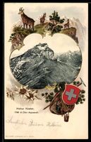 Hoher Kasten /Appenzell, Bergpanorama, S