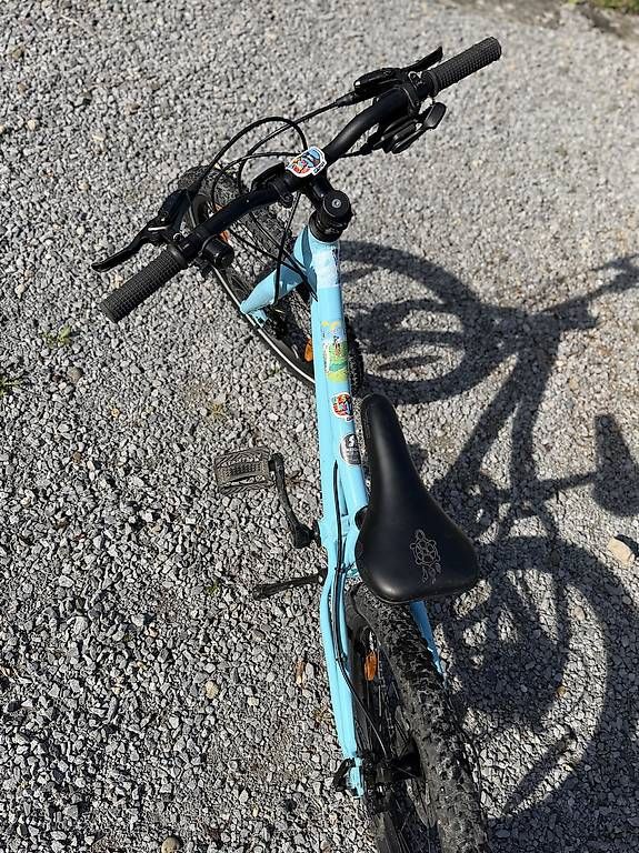 Biciclette: Kindervelo 20", Flizzi – Usato da Stäfa venduto da Tschimmen 3