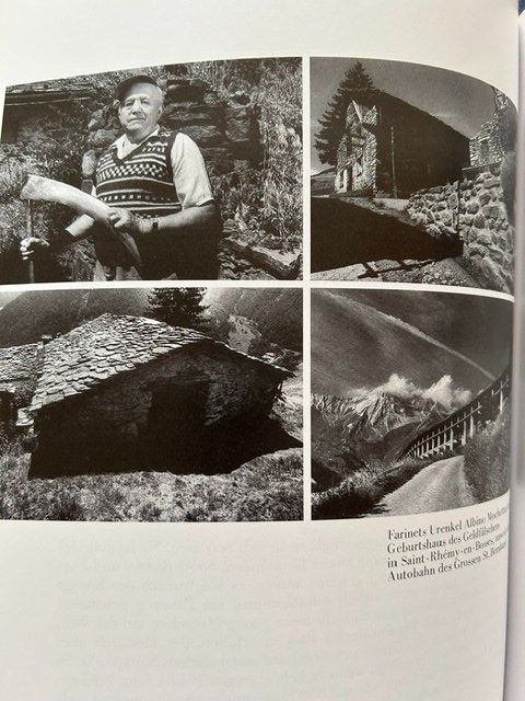 Libri: Willi Wottreng, Farinet, Lebensgeschichte, schönes Exemplar – Usato da Bern venduto da oregonzwei 7