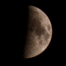 Profile image of Lele1242
