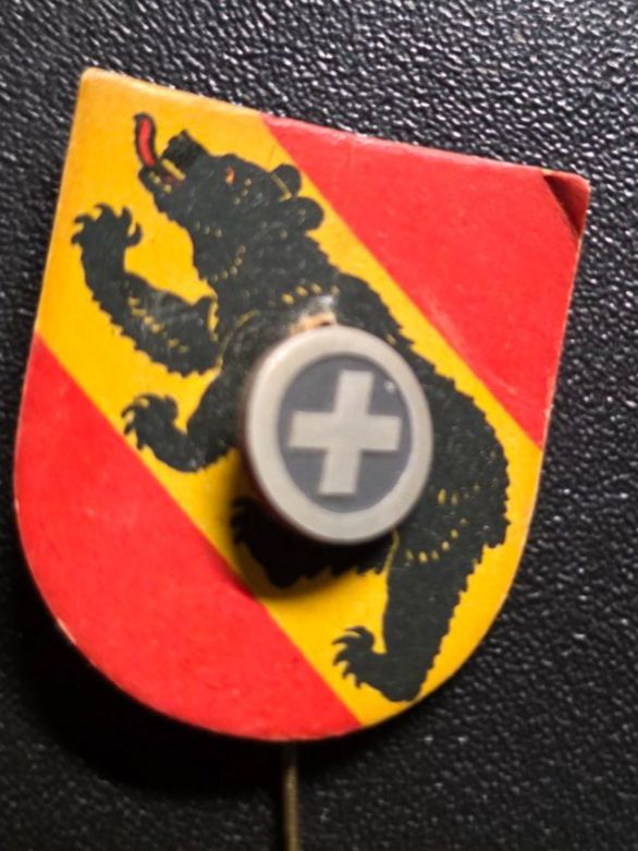 Swiss Placchette & Badge: Vintage Anstecknadel Bern Schweiz – Usato da Walterswil BE venduto da Lonitti 1