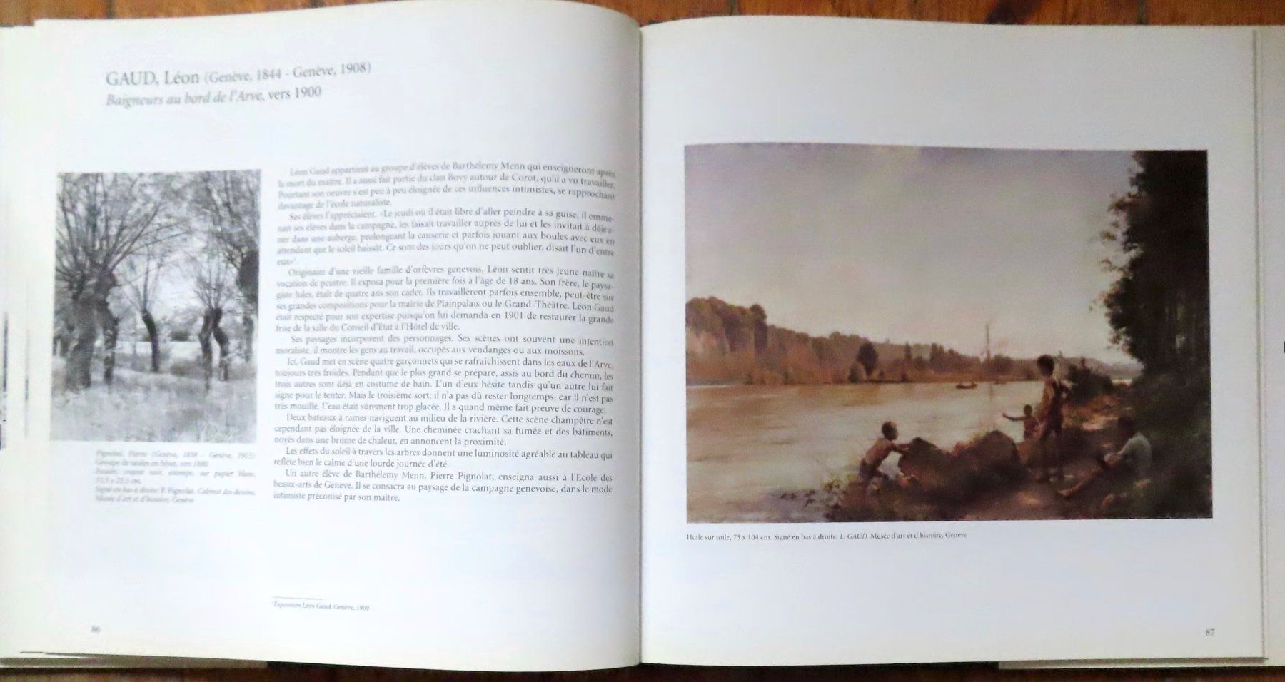 Libri: Peintures de Genève – Usato da Le Locle venduto da LibrairieLaBergerie 3
