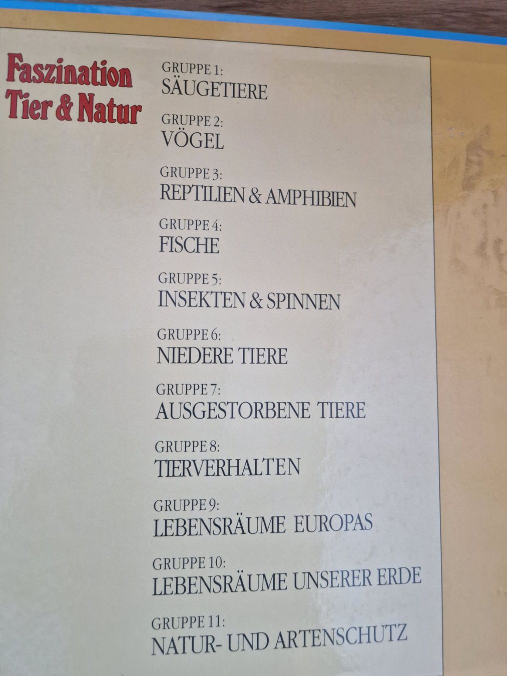 Libri: Faszination Tier & Natur – Usato da Lotzwil venduto da DonGavallo 2