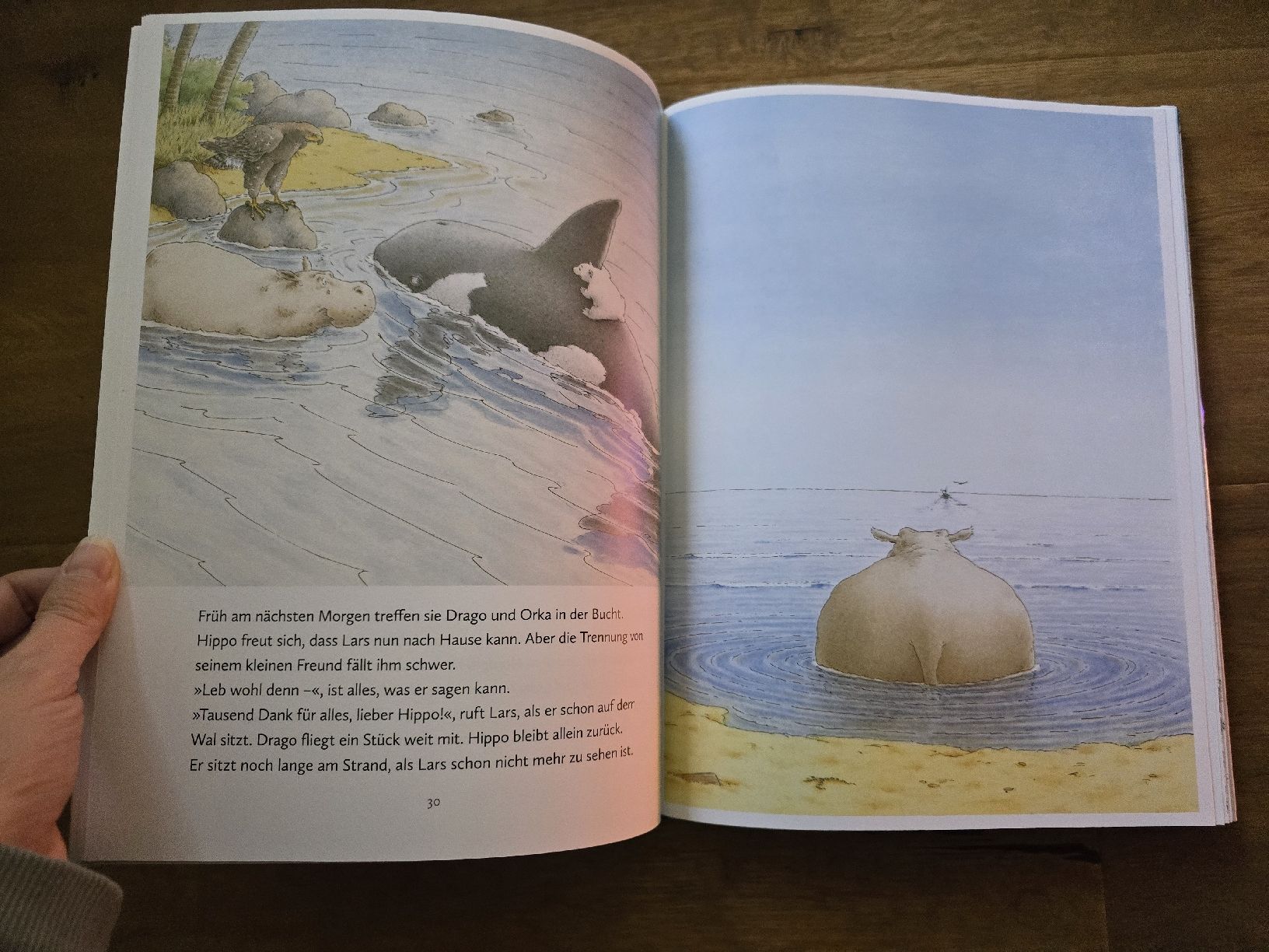 Libri: Klassiker: Kleiner Eisbär - Die schönsten Abenteuer – Usato da Wittenbach venduto da Tigerlili 5