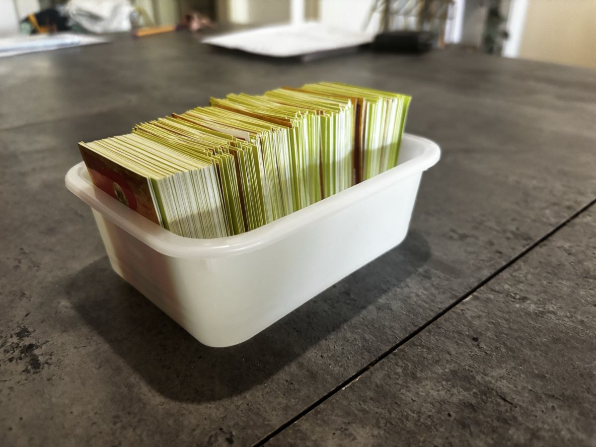 Panini Carte collezionabili: Panini WC 2026, 560 cartes avec doubles – Usato da Valangin venduto da gui_227p 2
