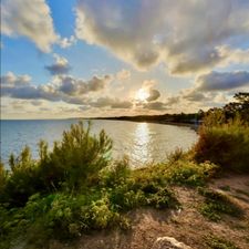 Profile image of Tanja_22