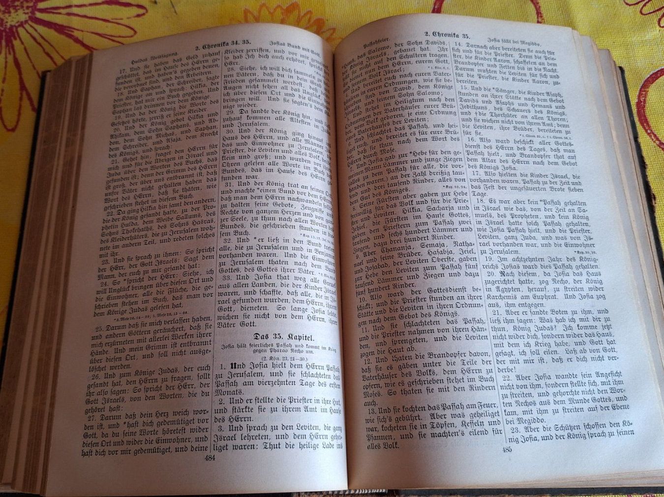 Libri: antike Luther Bibel – Usato da Dornach venduto da majo8689 6
