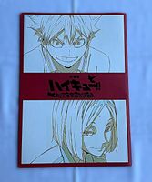 Haikyu!! Dumpster Battle Karasuno x Nekoma Kino Bonus 2024