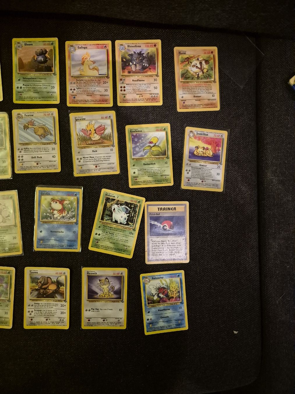Pokémon Carte collezionabili: Pokemon - Dschungel grosse Sammlung – Usato da Subingen venduto da mattkum 2