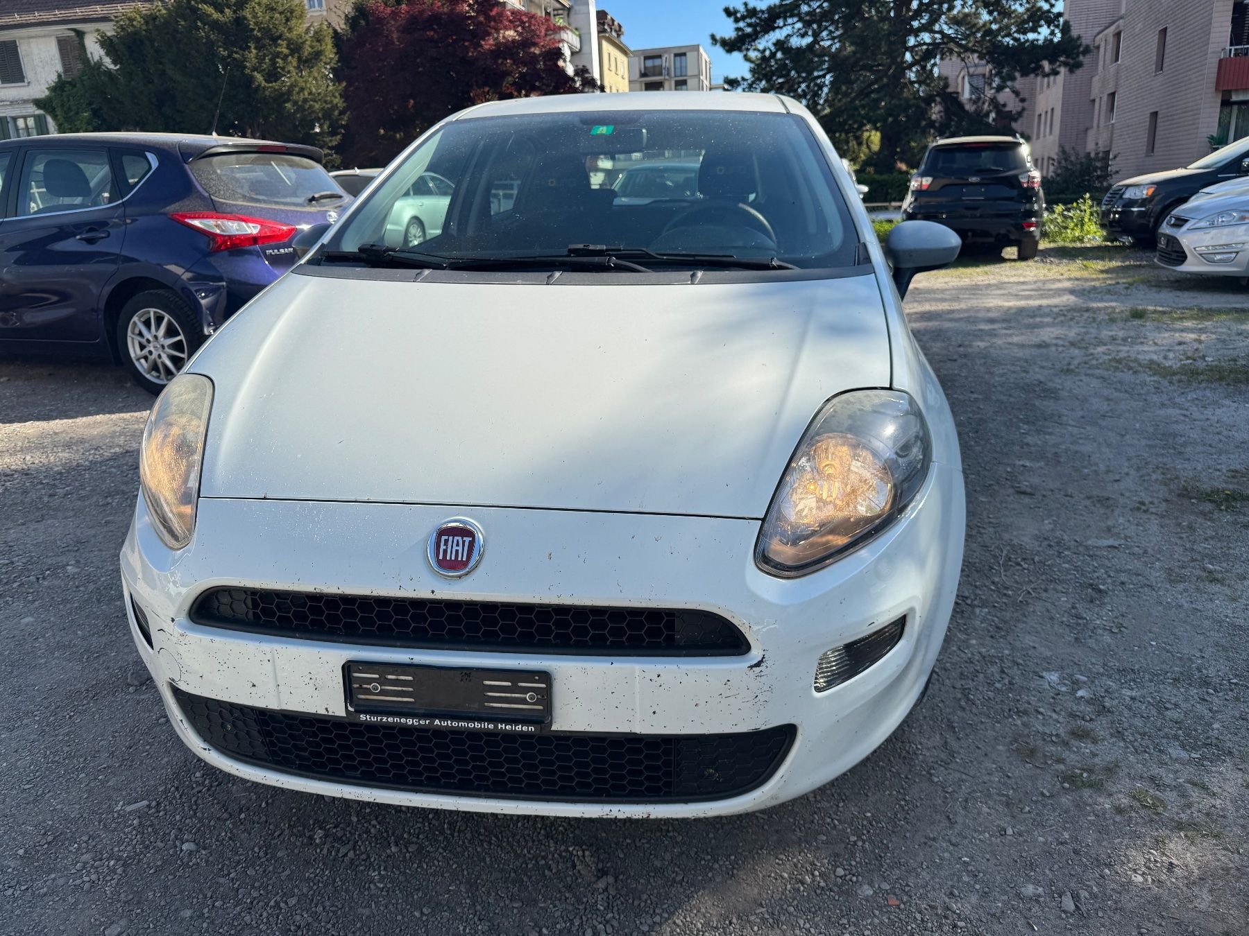 Fiat Automobili: Fiat Punto 1.2 – Usato da St. Gallen venduto da Pro-Autos