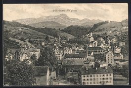 AK Herisau-Wilen, Teilansicht, 1921