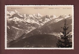 MONTANA-VERMALA