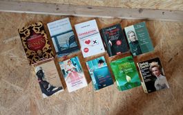 Diverse Sammlung von Romanen für gemütliche Lesestunden