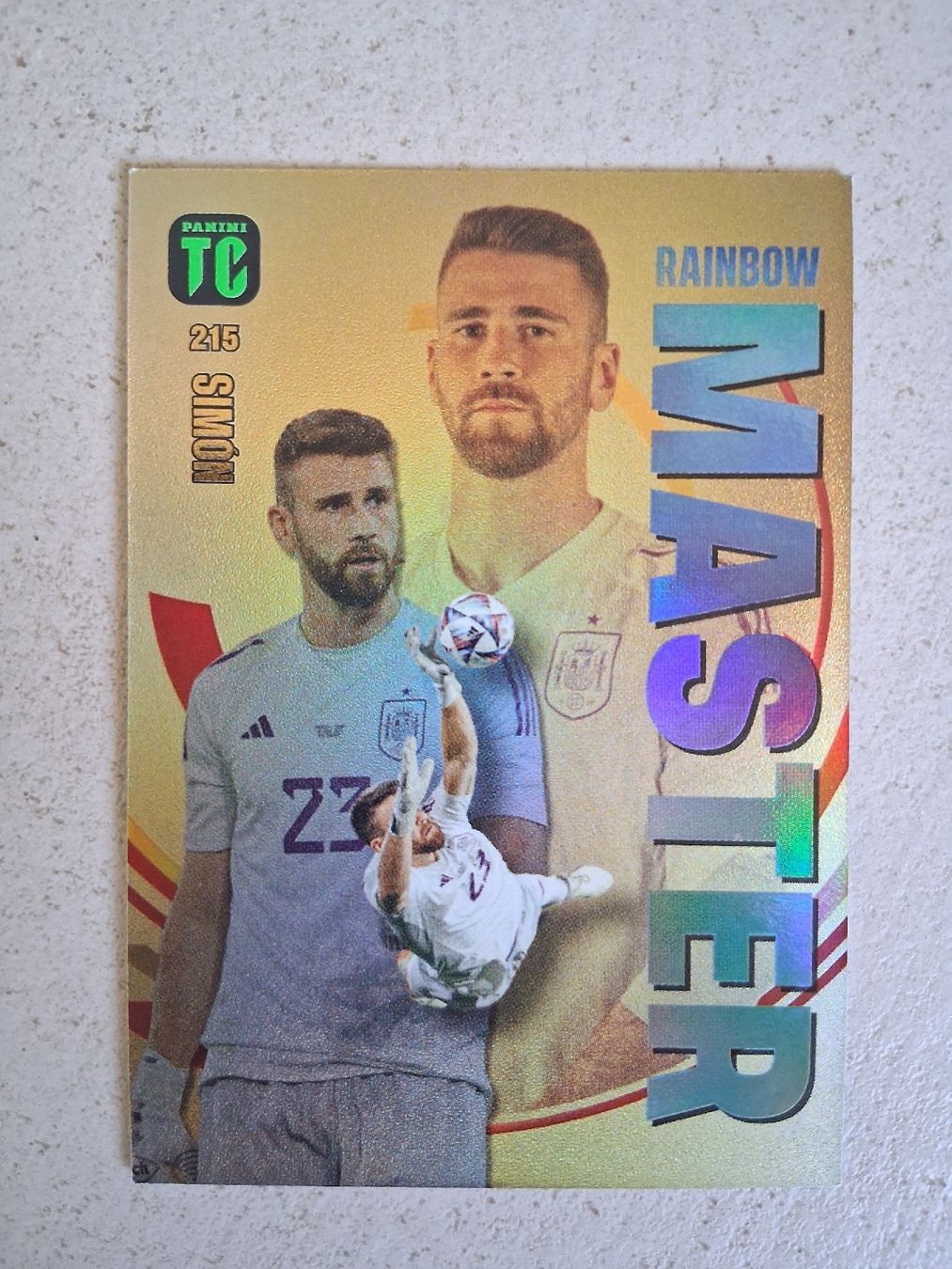 Panini Carte collezionabili: Carte Panini TC Simon 215 Rainbow Master  – Nuovo (secondo la descrizione) da Pâquier-Montbarry venduto da nic_vx7v
