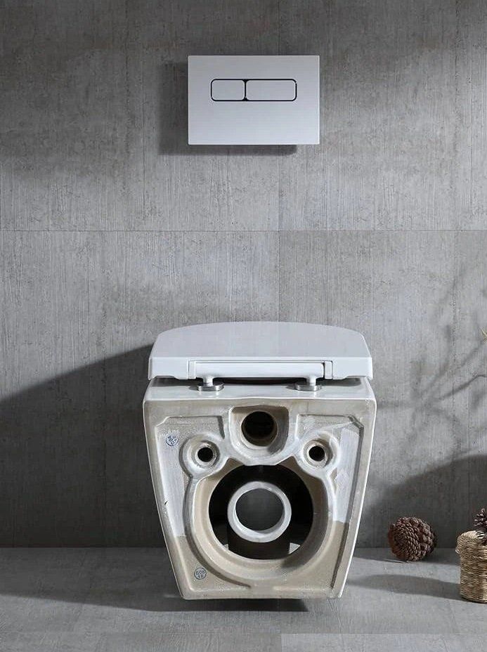 Riva WC: Wand-WC Rivo, spülrandlos mit Sitz – Nuovo e nell'imballaggio originale da Bolligen venduto da Casewise 6