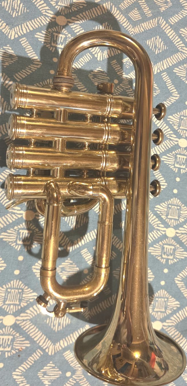 Strumenti musicali: trompette piccolo courtoy – Usato da euseigne venduto da lou_d8bw 2
