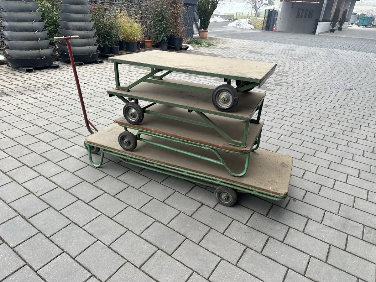 Carrelli di trasporto: Robuster Transportwagen /Lagerwagen – Usato da Rümlang venduto da Gartenbau25 4