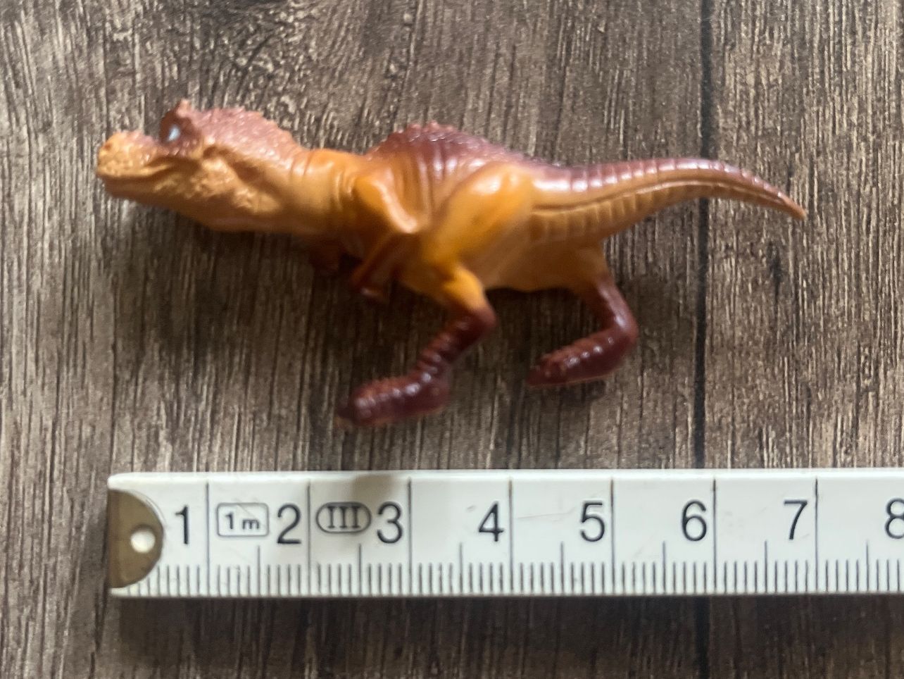 Calamite: Aimant / magnet dinosaure – Usato da Vernayaz venduto da Darkfrost