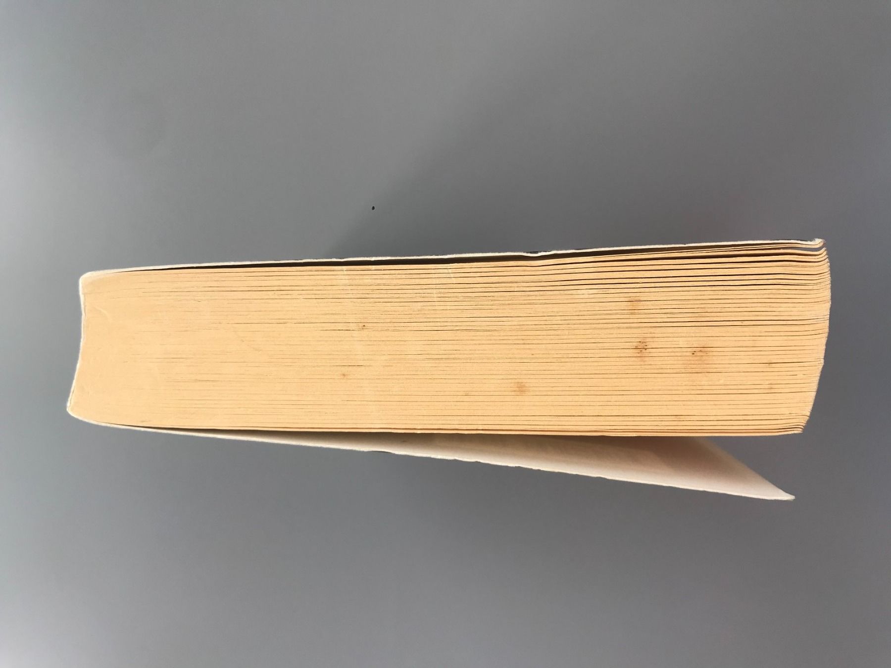Bücher: "SEINE GROSSE LIEBE" Petra Hammesfahr – Gebraucht aus Dalin von sup_8qj5 2