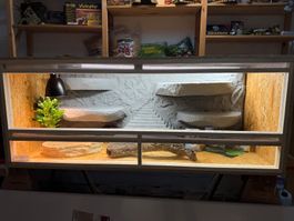 Terrarium 150x60x60  inkl. Zubehör Nr 4