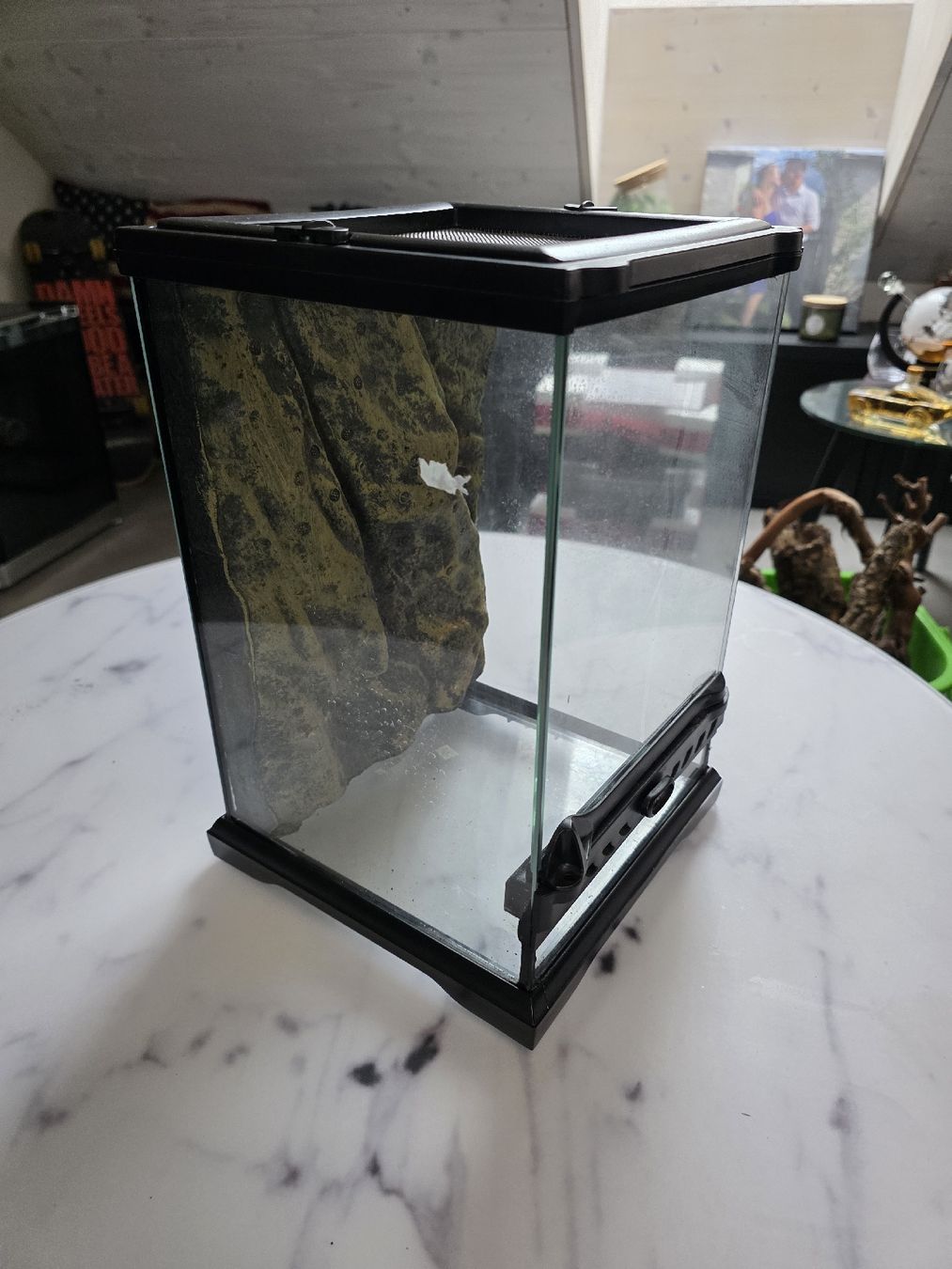 Exo terra Terrario: Exoterra Terrarium – Usato da Oberwil (Dägerlen) venduto da sid_b5l6 1