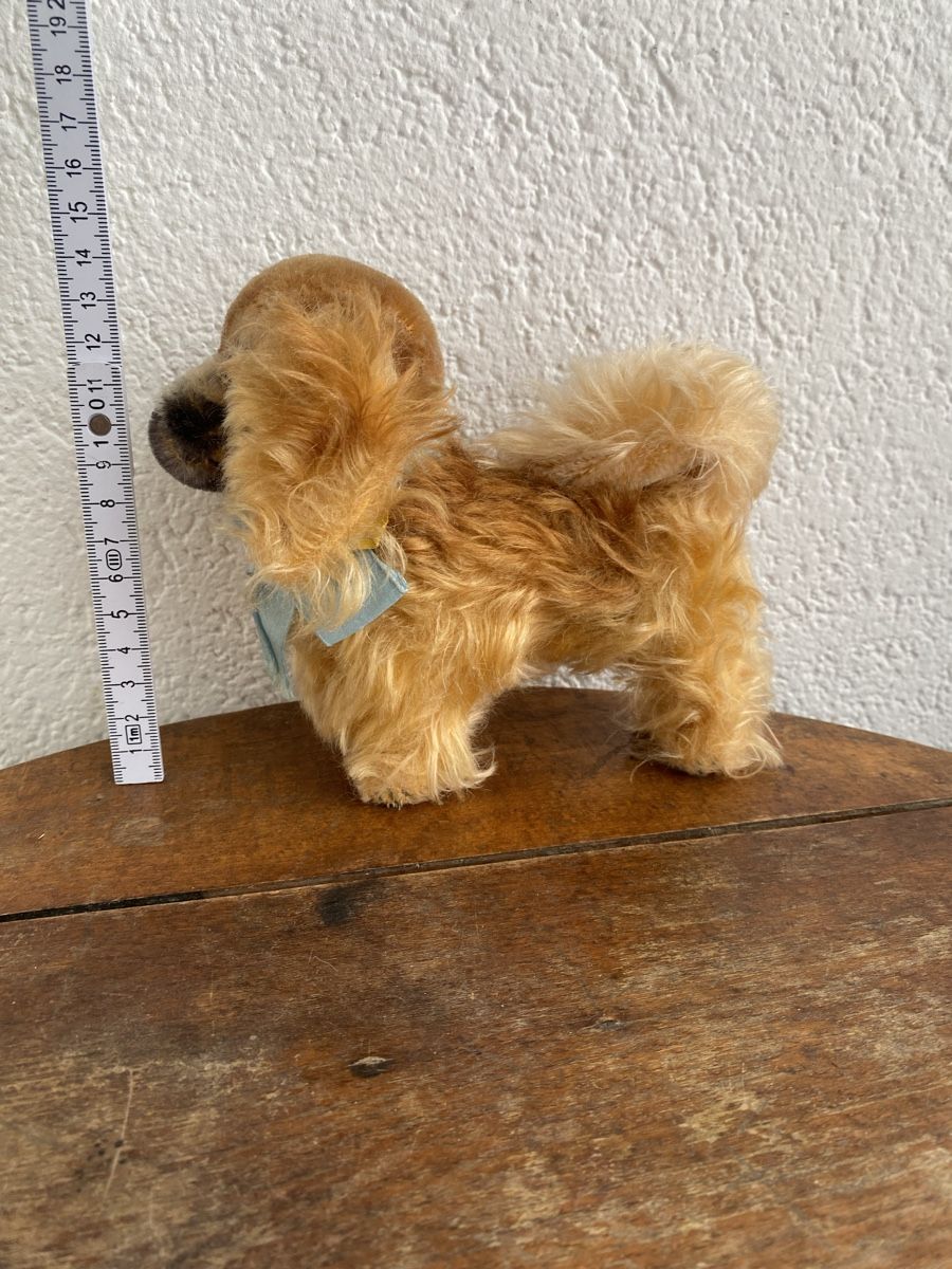 Steiff Giocattoli: Vintage Steiff, Hund, Stofftier – Usato da Zuchwil venduto da Niranada