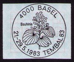 ATM 6_SONDER-VO 4000 BASEL_TEMBAL 21.-29.5.83_BLUME Bauhinia