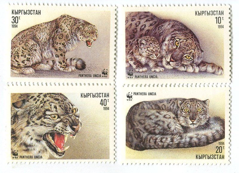 Alle Briefmarken: Briefmarken "Schneeleopard". Kirgisistan – Neu und originalverpackt aus Basel von Butsch5