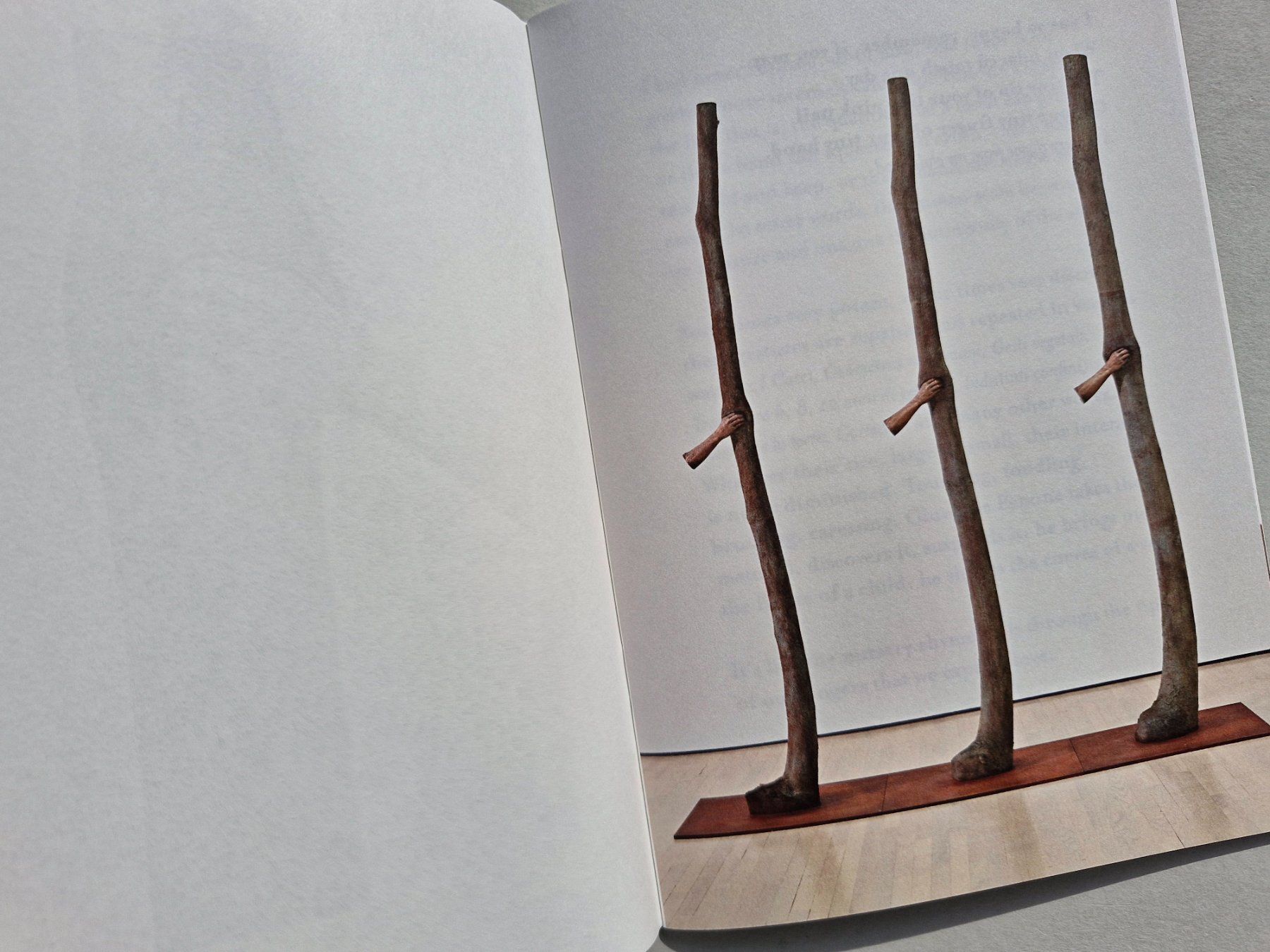 Libri: Giuseppe Penone: Germinazione, Arte Povera – Usato da Zürich venduto da Secretariat11 3