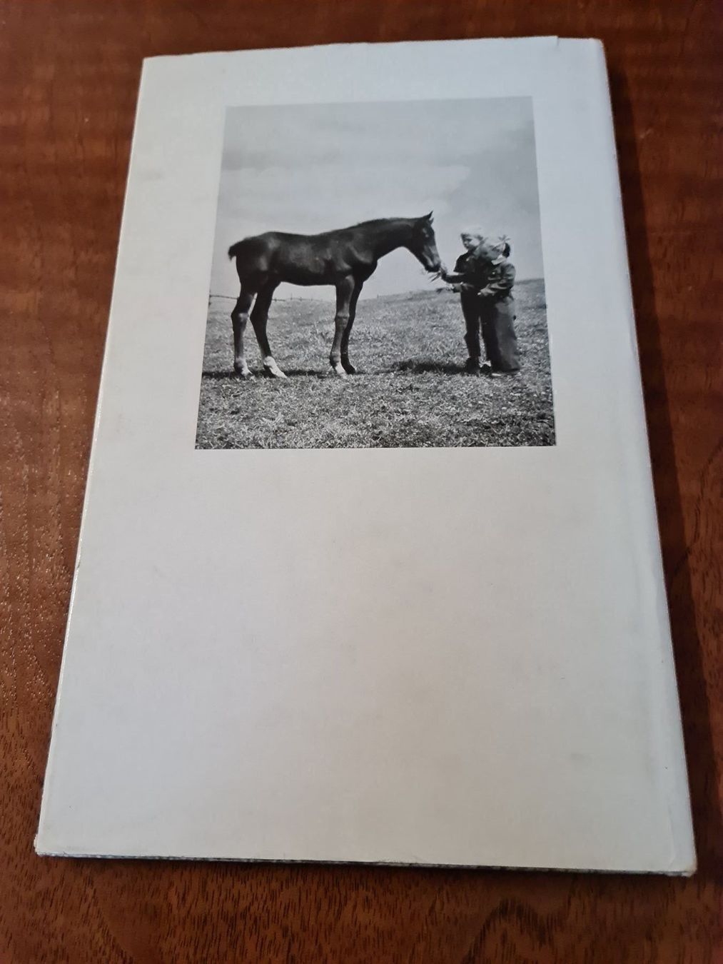 Bücher: THE LITTLE FOAL – Gebraucht aus Erstfeld von Uhu1980 1