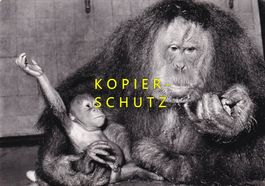 Basel, Zoo - Organ Utan Mutter "Kiki" mit Kind /bo