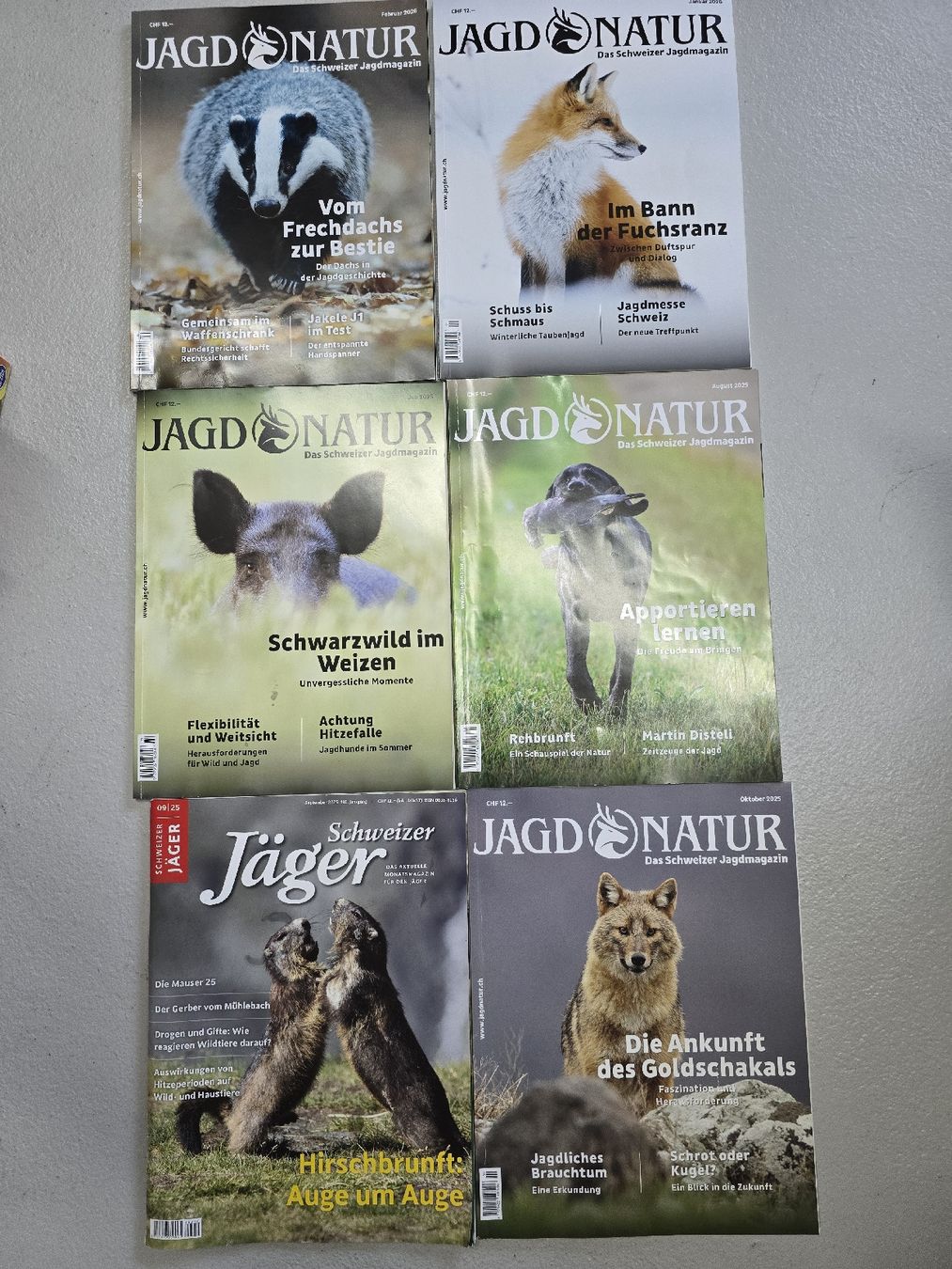 Riviste & Magazine: Jagd und Natur Magazin – Usato da Lostorf venduto da Venice16