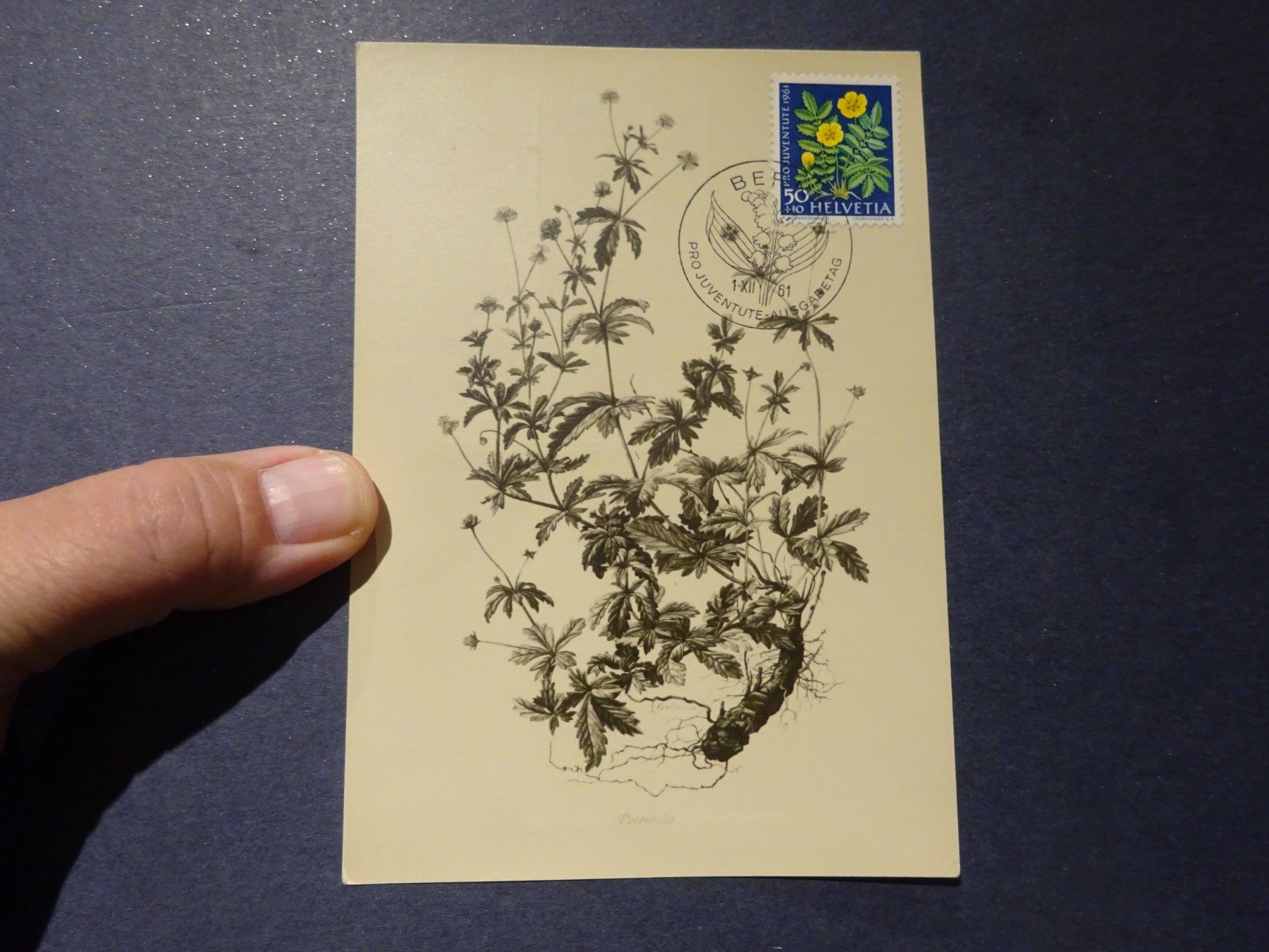 Tutti i francobolli: 1961 Pro Patria MAXIMUMKARTE mit ET-Stempel – Usato da Appenzell-Steinegg venduto da adi1975