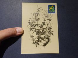 1961 Pro Patria MAXIMUMKARTE mit ET-Stempel