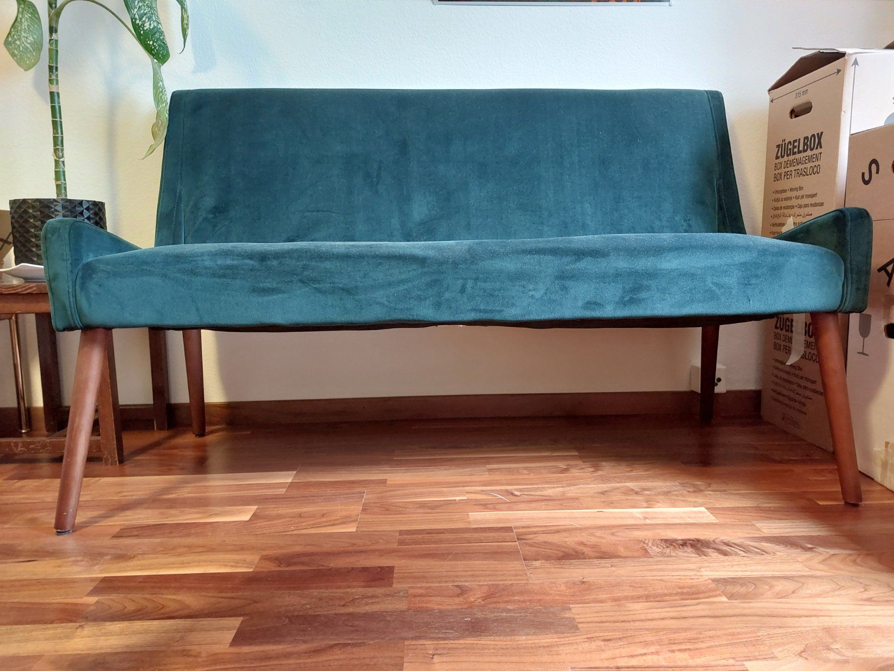 Sofas: Sitzsofa, samt-grün – Gebraucht aus Zürich von spo_bqc2 1