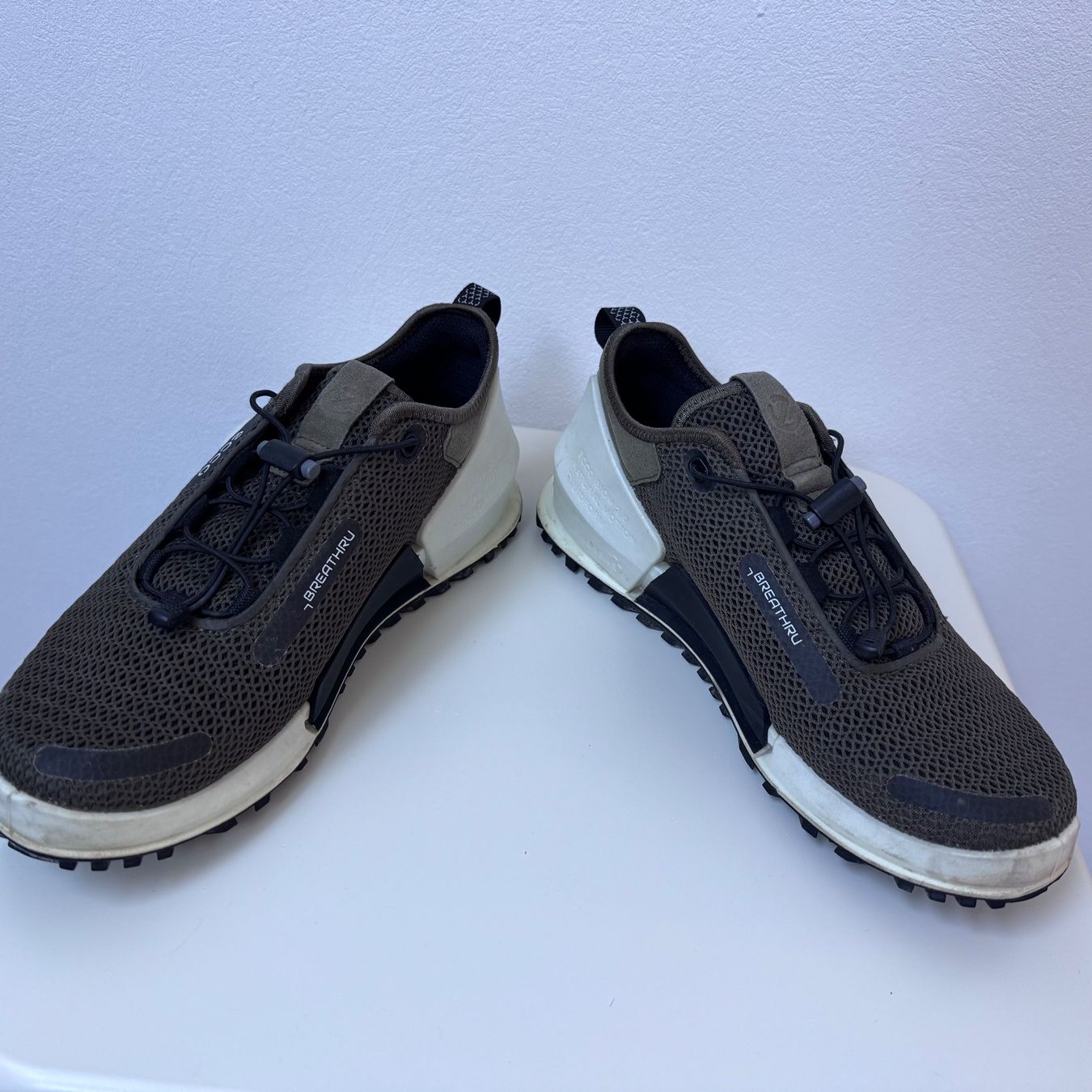 Ecco Scarpe da uomo: Ecco Biom Mesh Sneaker Gr.41 – Usato da Solothurn venduto da Manjascha 2