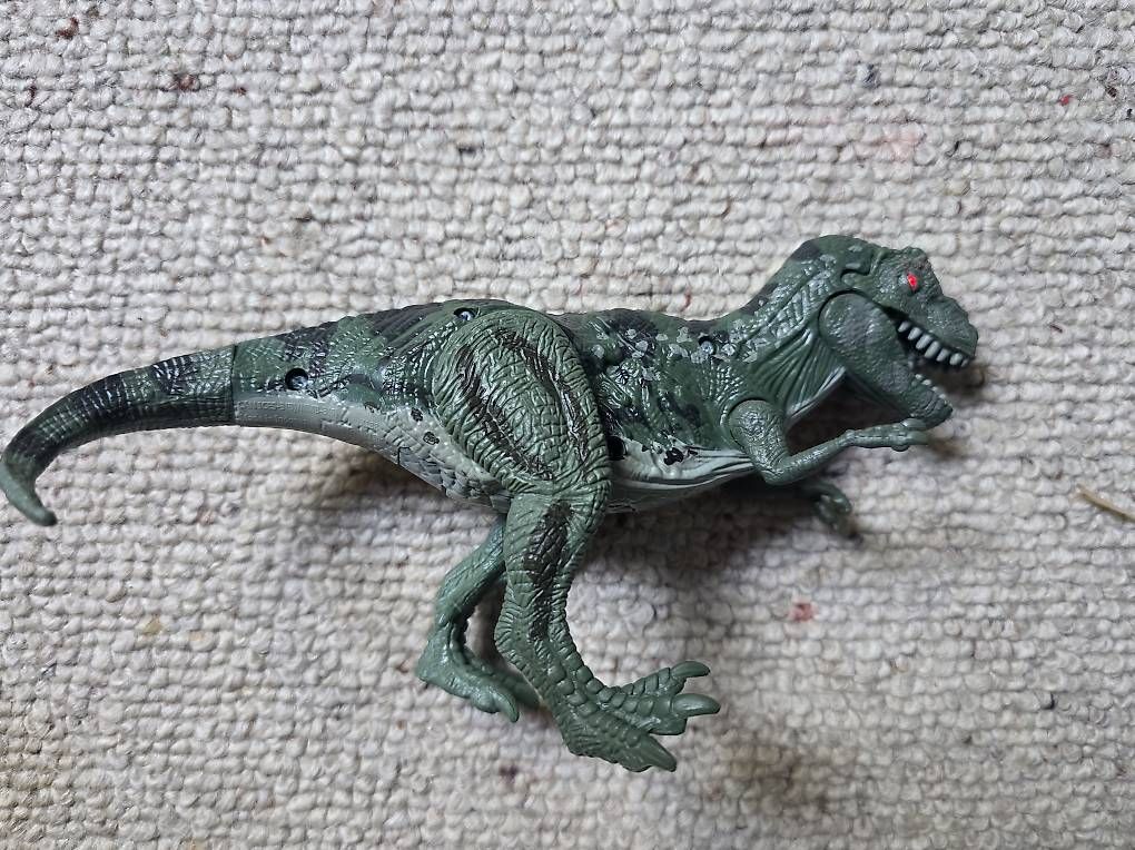 Libri: 2 Dinosaurier mit Sound – Usato da Tägerwilen venduto da pre_tpc6 2