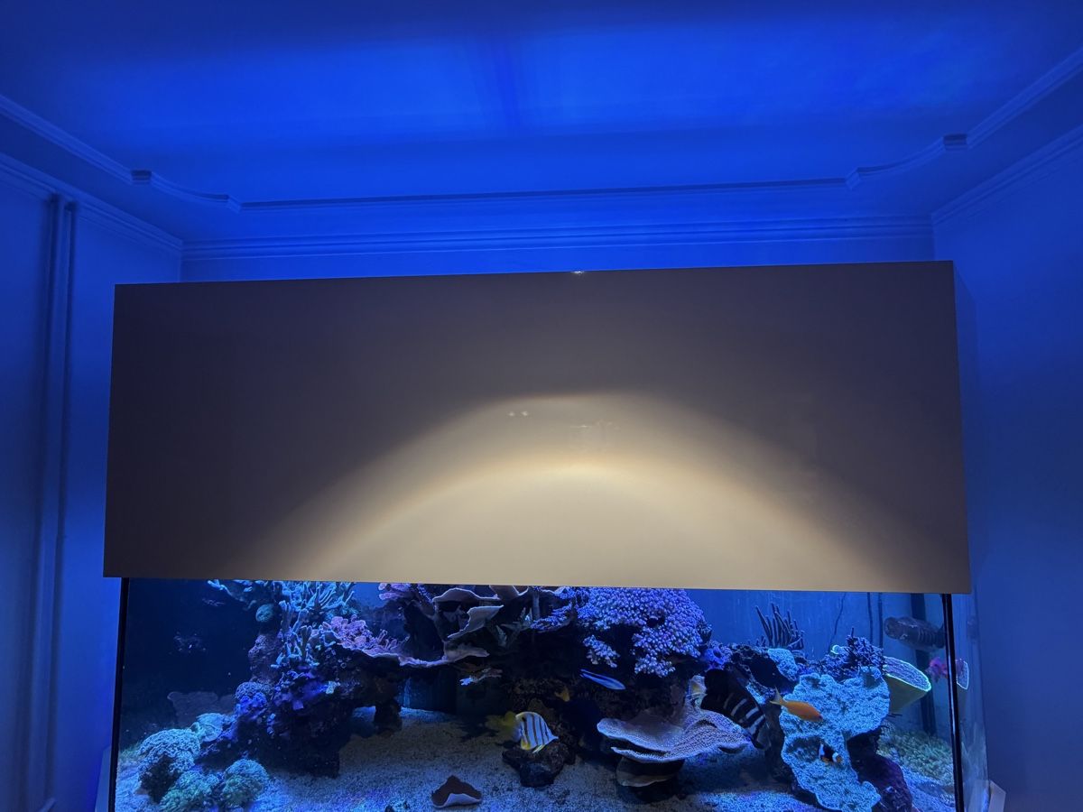 Aquarium: Aquarium/Terrarium – Gebraucht aus Jonschwil von ursula9 5