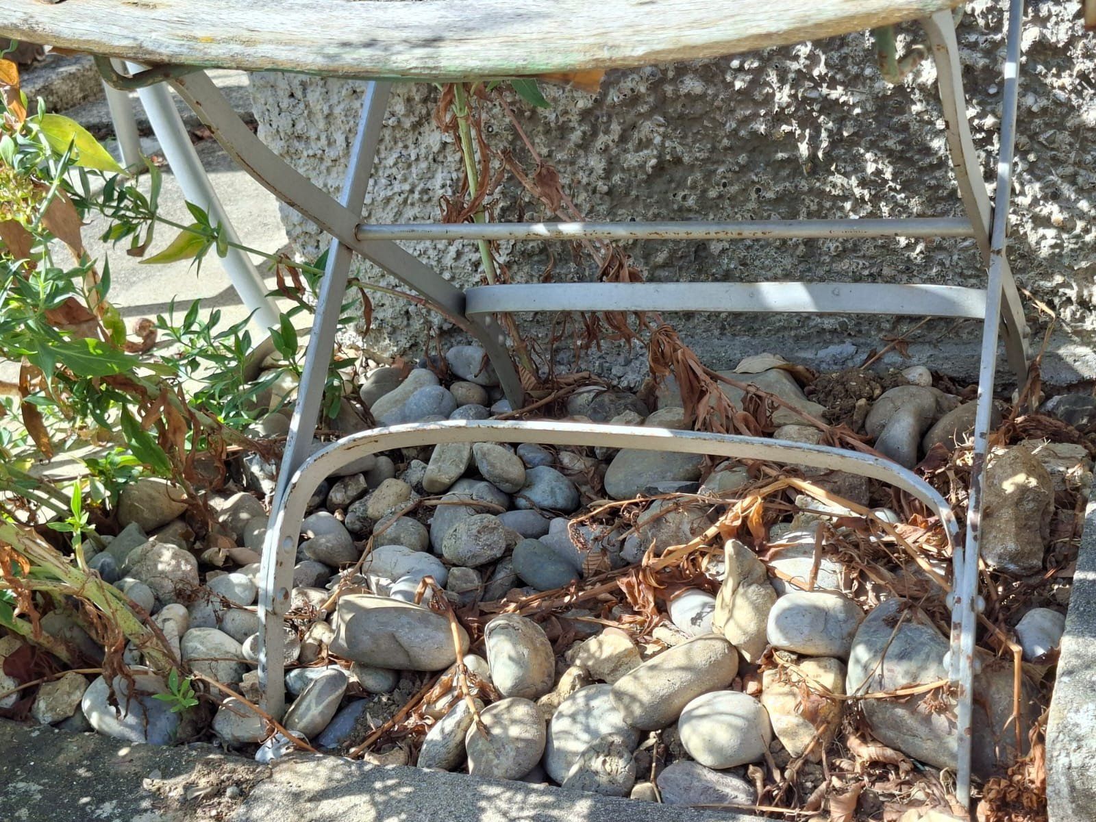Sedie: Alter unrestaurierter Gartenstuhl – Usato da Trimbach venduto da stillik 2