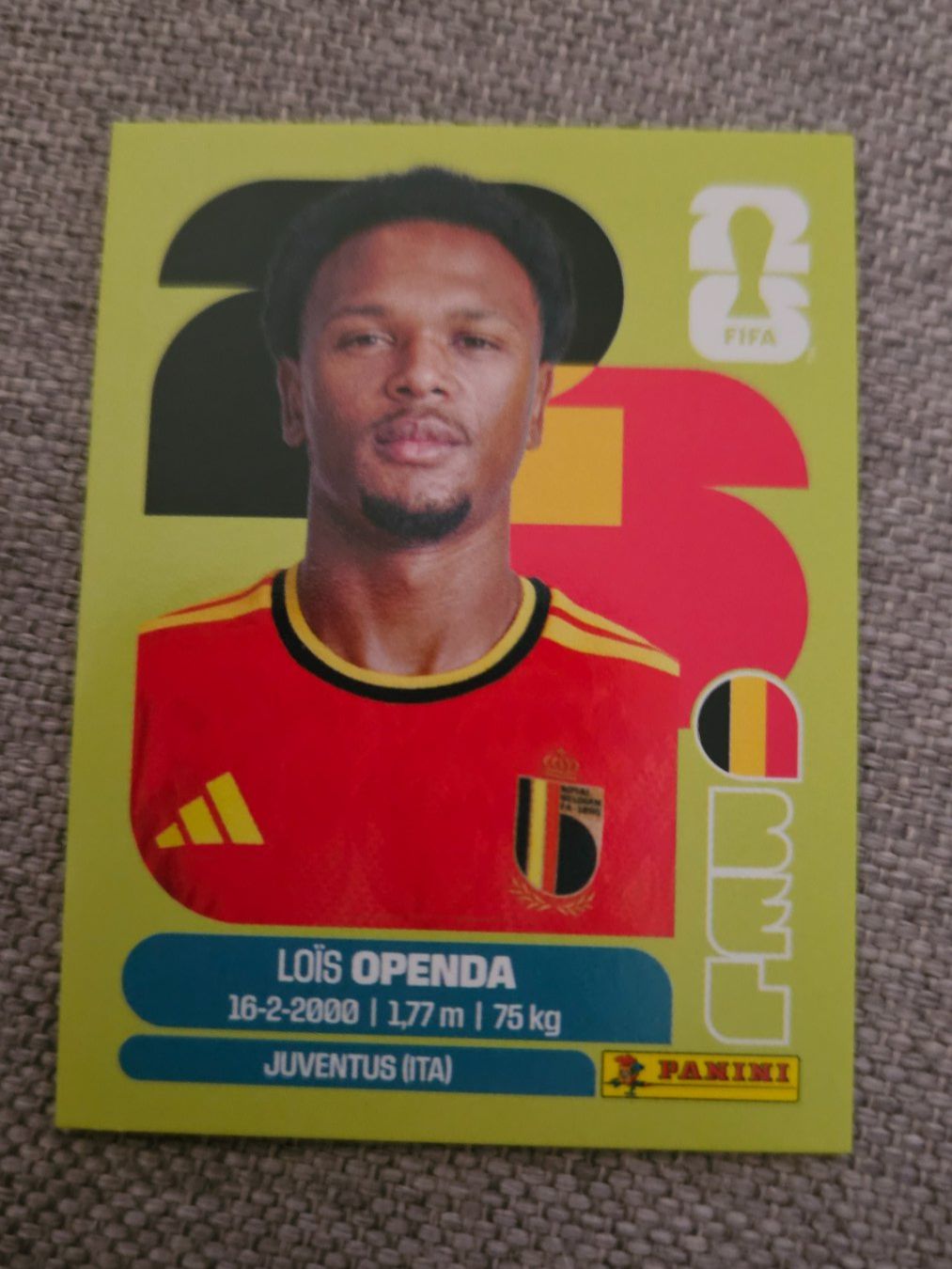 Panini Carte collezionabili: BEL 19 Lois Openda Panini Sticker – Nuovo (secondo la descrizione) da Basel venduto da Berliner89